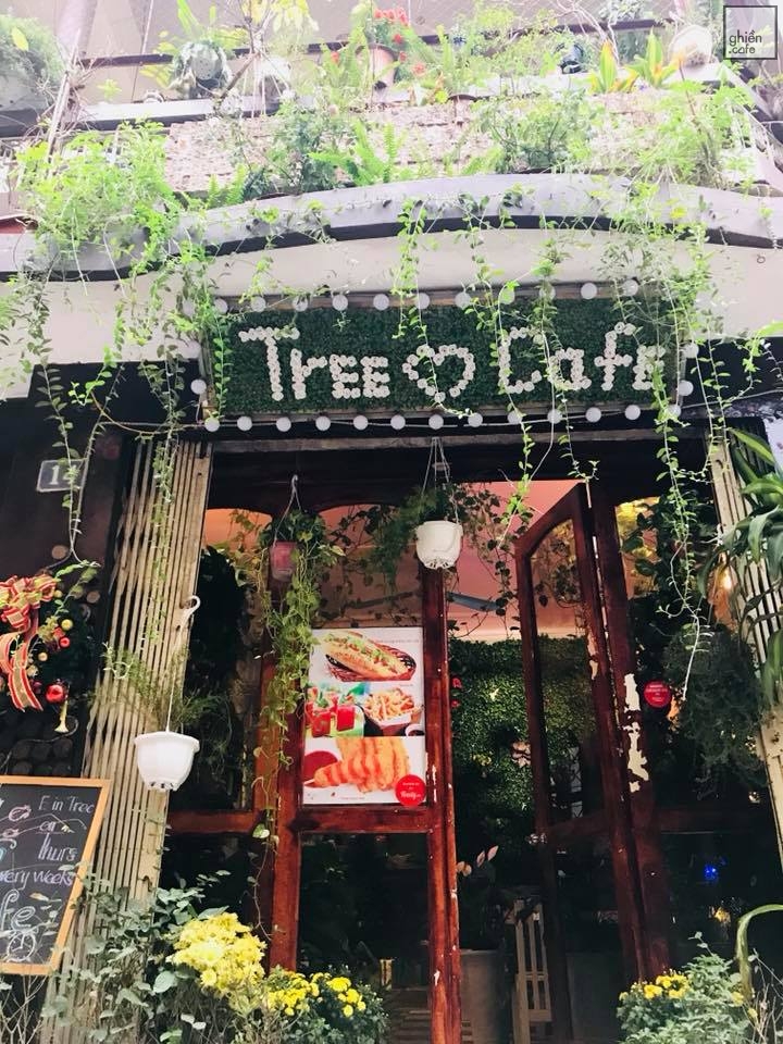 Tree Cafe - Đội Cấn